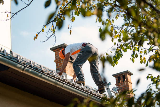 Roof Gutter Cleaning in Rensselaer, IN